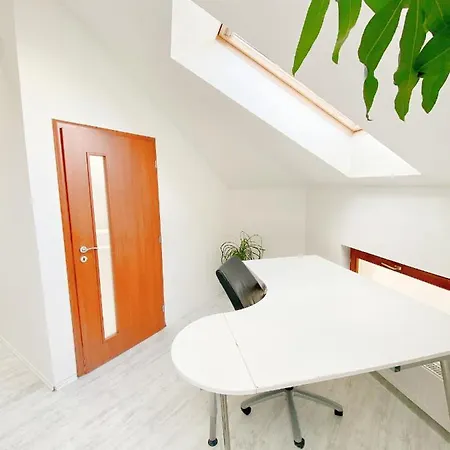 Loft With Rooftop And Free Parking In Garage 아파트 *