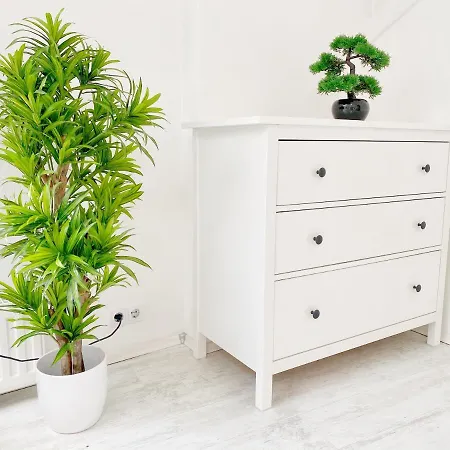 Loft With Rooftop And Free Parking In Garage *