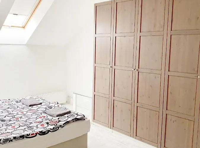 Apartament Loft With Rooftop And Free Parking In Garage Budapesta